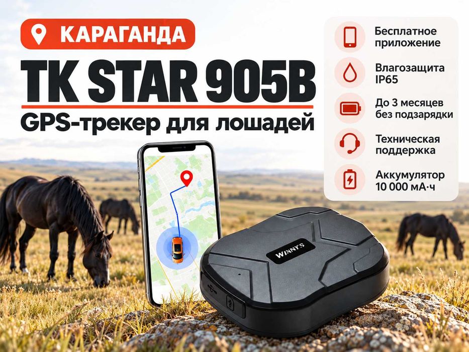 GPS трекер для лошадей. Жпс жылқыға