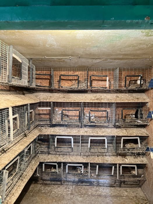 Продам голубятник