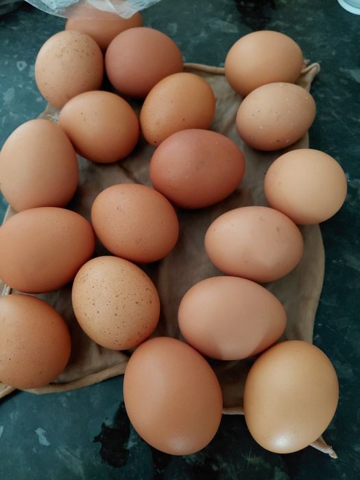 Продам яйцо домашнее крупные вкусные