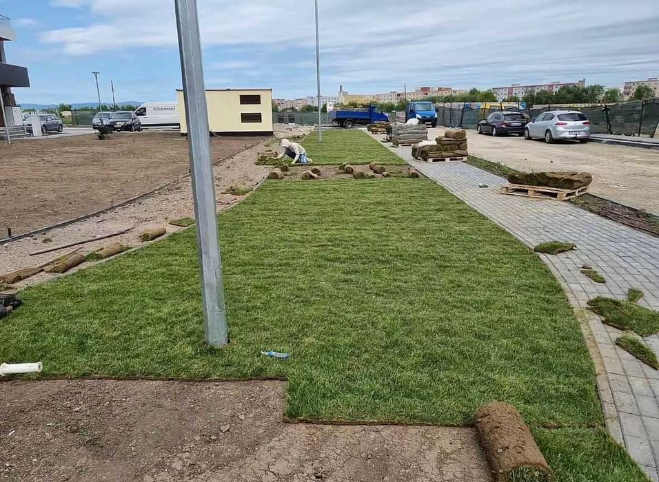 Montaj gazon rulou natural | Amenajări curți și grădini