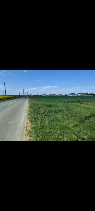 Teren intravilan 2.888 mp Bucovăț drum asfaltat Lângă Timișoara