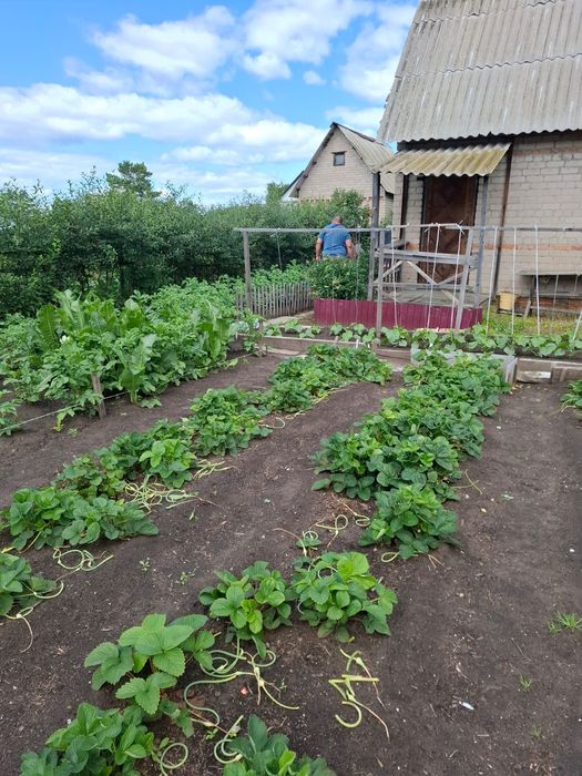 Продам дачу 4 сотки , ухоженная