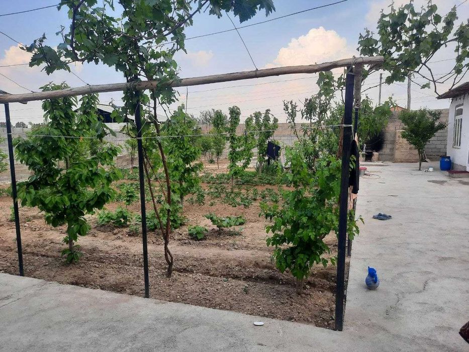 Hovli uy sotiladi. | Продается дом.