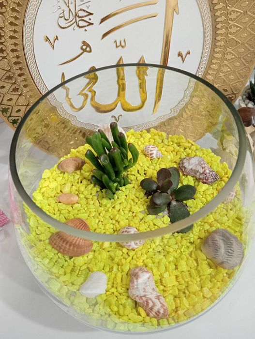 Красивые и Уютные Цветы в Ваш Дом