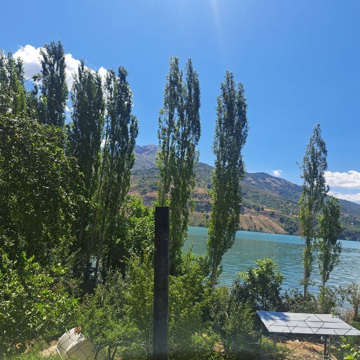 4 сотихдан 40 сотигача ерлар бор нархи устида гаплашилади  холис хизма