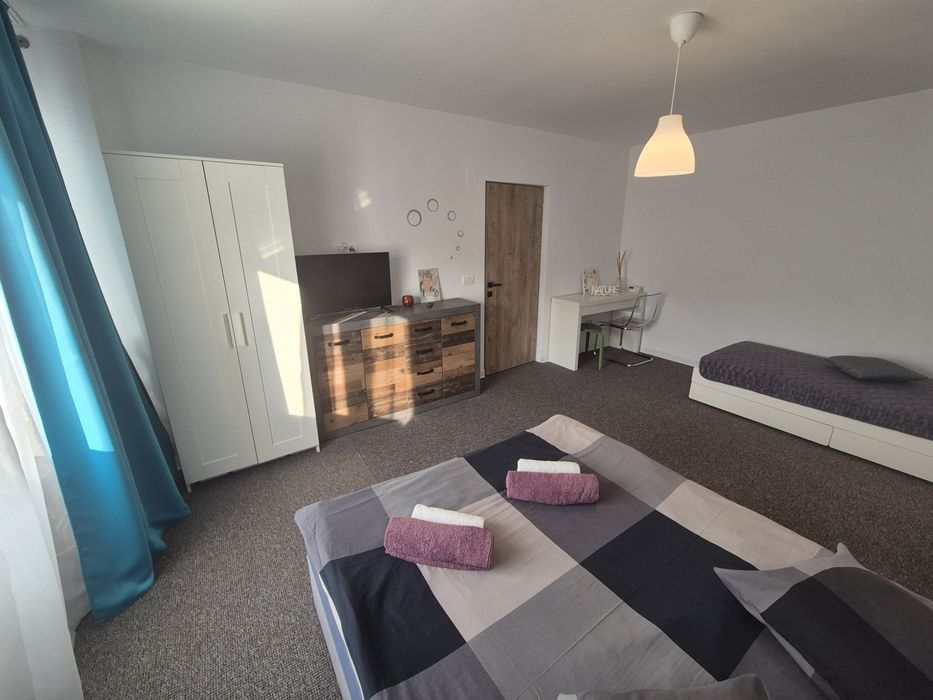 Apartament regim hotelier Provista centru