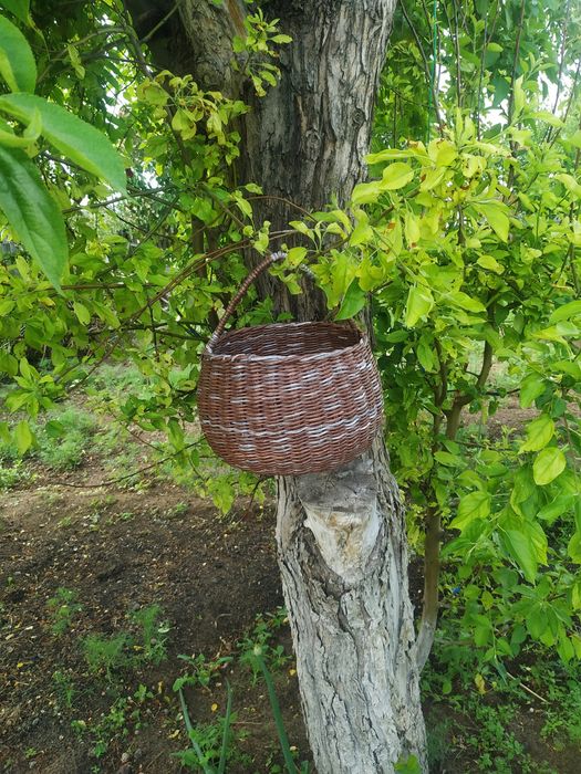 Приготовлю поделку с ребенком.