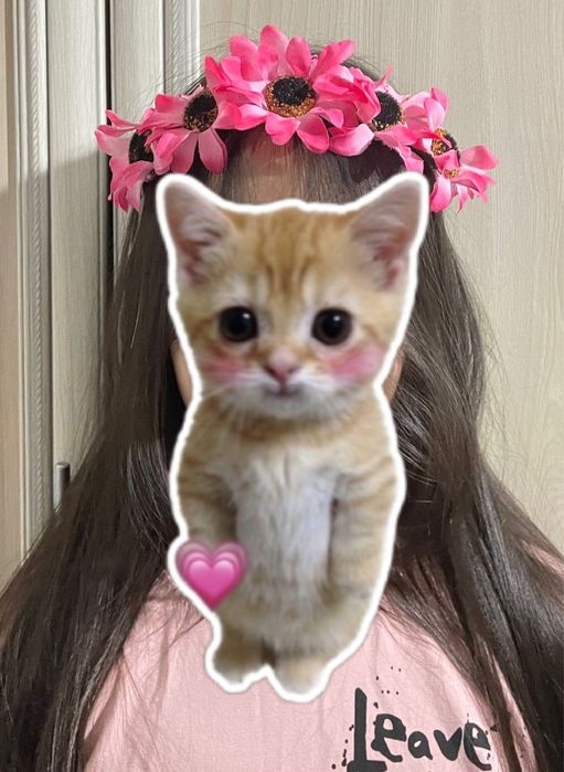 Ободки празднечные.