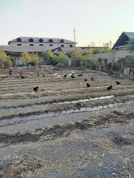 Маргилон шахар надирмат махласида ер сотилади