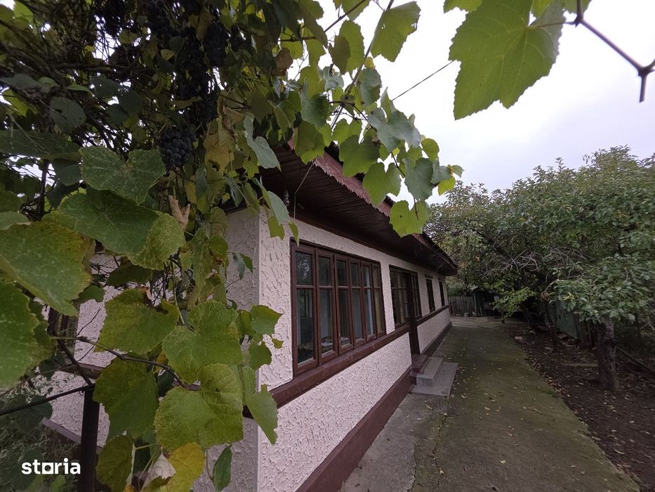Reducere pret! Casa parter comuna Nuci-Micsunesti- 30 minute capitala