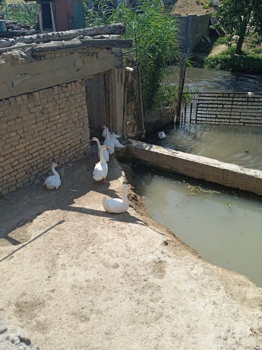 Продается двухэтажный дом