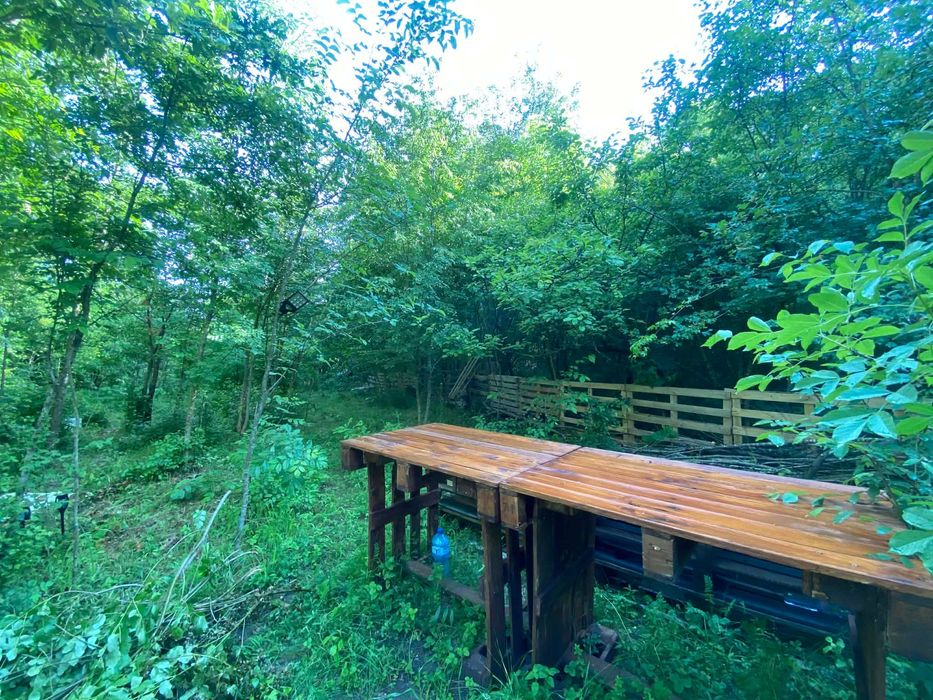 Продава се Парцел в с. Долище, Област Варна - 5000 кв.м за 4 €/кв.м - Снимка #13