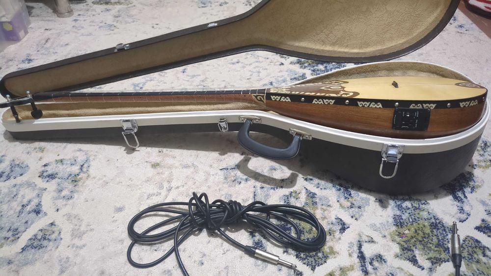 Электрондық кәсіби домбыра