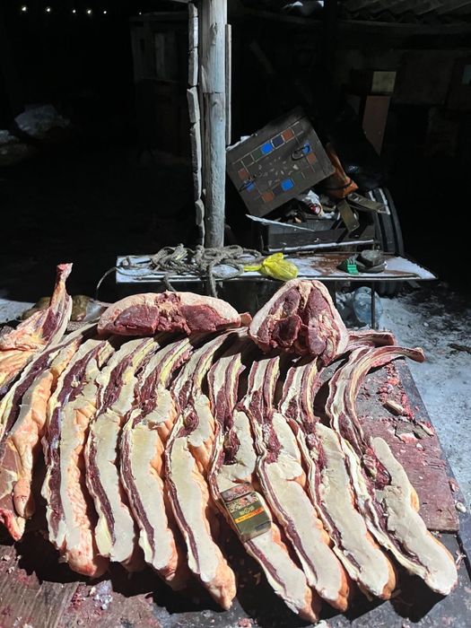 Продается мясо, конина