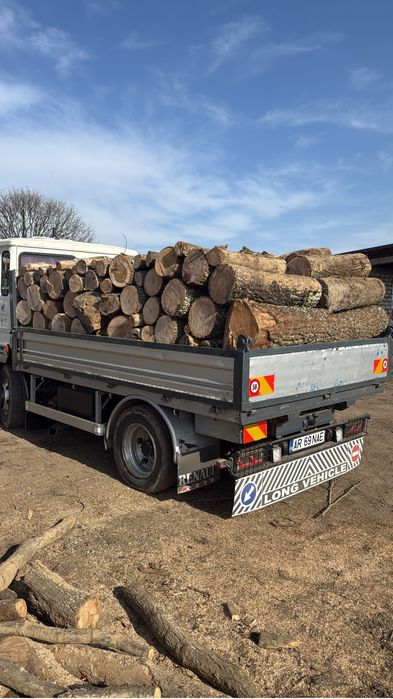 Lemne de foc esenta tare