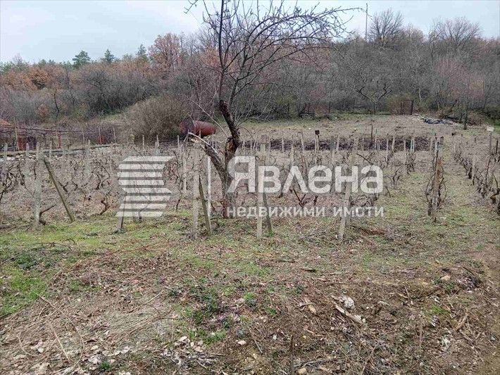 Продава се Къща в с. Пороминово, Област Кюстендил - 220 кв.м за 364 €/кв.м - Снимка #10