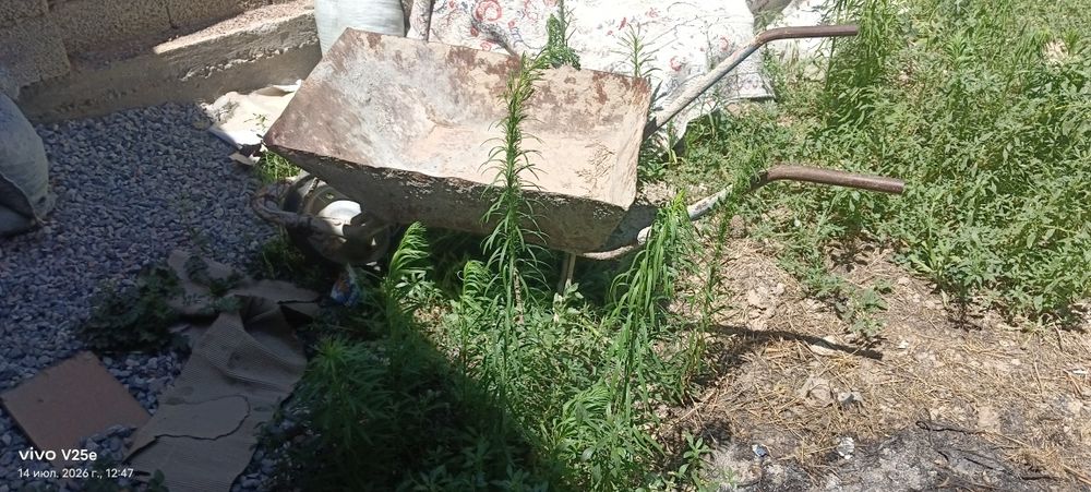 Арба тачка бу сынбаган донгелек нормально