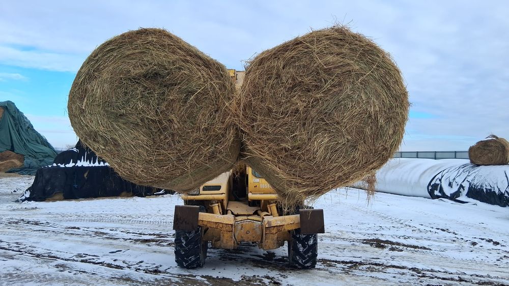 Baloti fan fb Rotunzi min.40.Or Lucerna.Drep.500 La TIR>RO;UE

Baloti