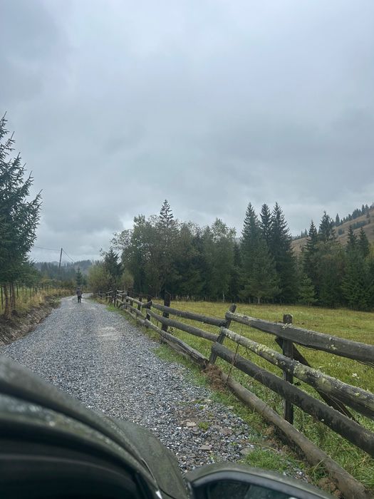 Teren de vânzare în zona Pârâul Negri, com. Breaza, Suceava.NEGOCIABIL