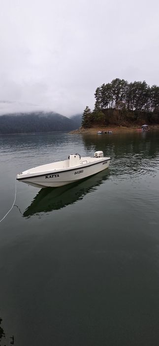 Vând barca cu motor johnson 40cp