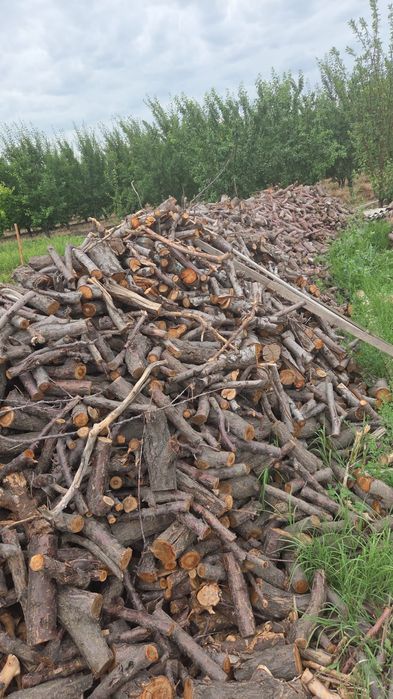 Продам дрова плодовых деревьев