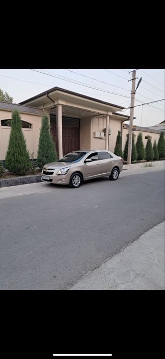 Other Cobalt 2013 — 3