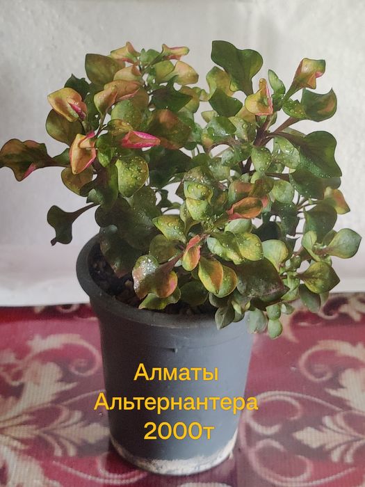 Продам Хобби для души