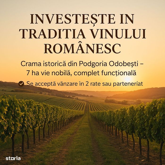 Ferma viticola de vanzare in inima podgoriei Odobesti