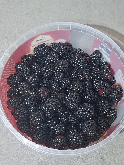 Mure de casă de vânzare