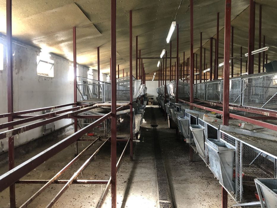 Продаются клетки для кроликов