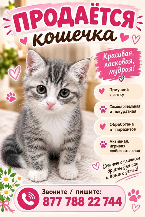 Продам красивую породистую девочку!