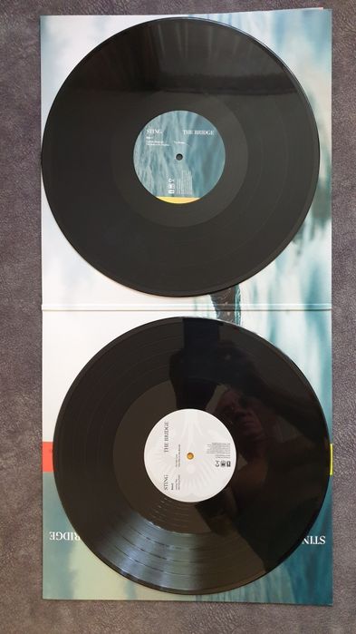 Виниловые пластинки.