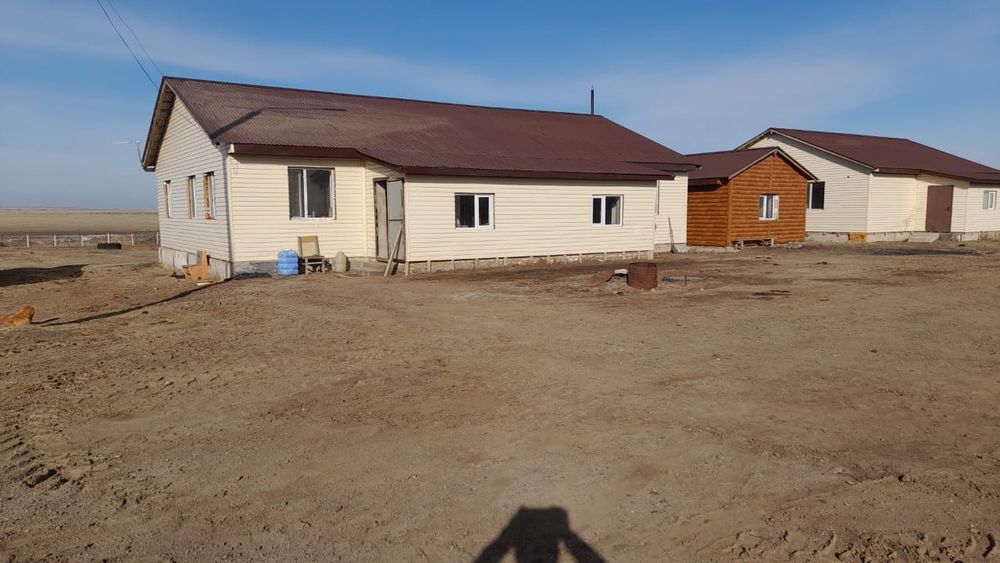 Продам хозяйство