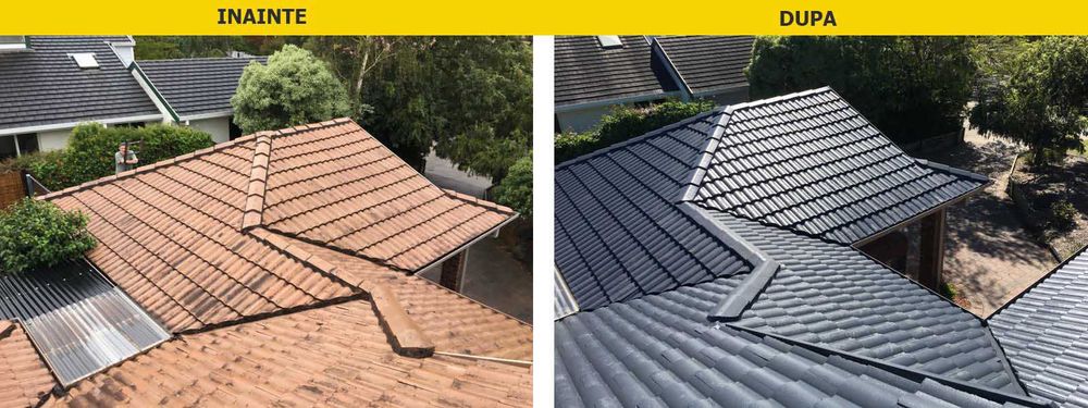 Vopsim orice tip pe tabla pe casa, garduri, porti si alte suprafete