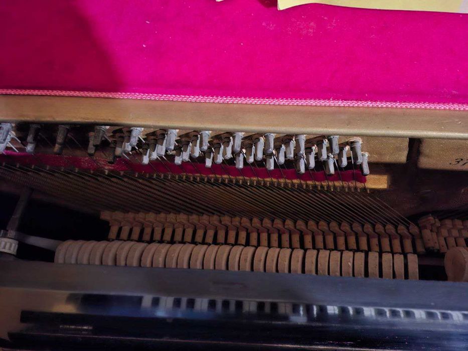 Pianino lastochka srochna sotiladi guliston