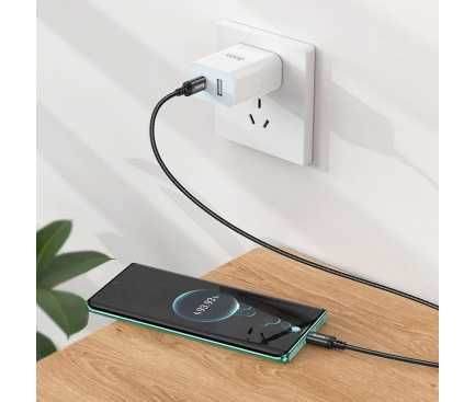 Cablu de date  USB-C la USB-C Fast Charger 60W  2m