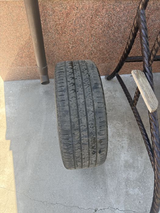 Шина Continental