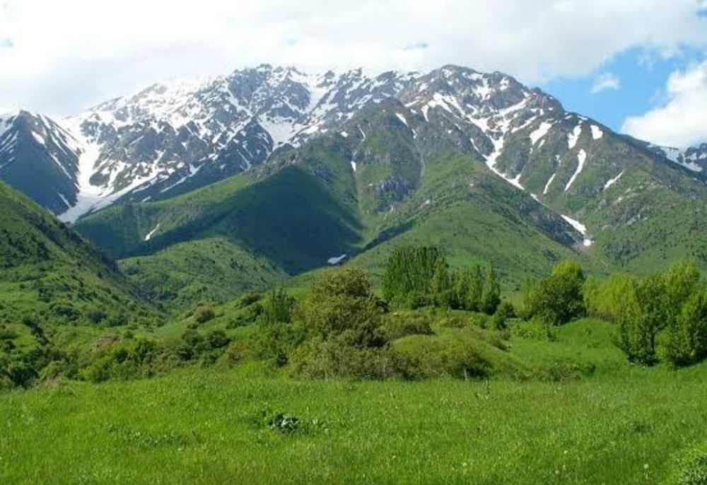 Ақсужабағлы жер сатылады