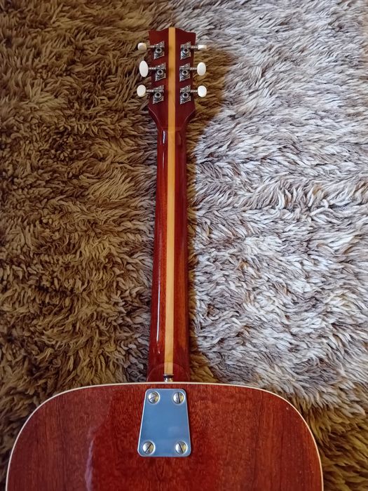 Акустична китара EKO