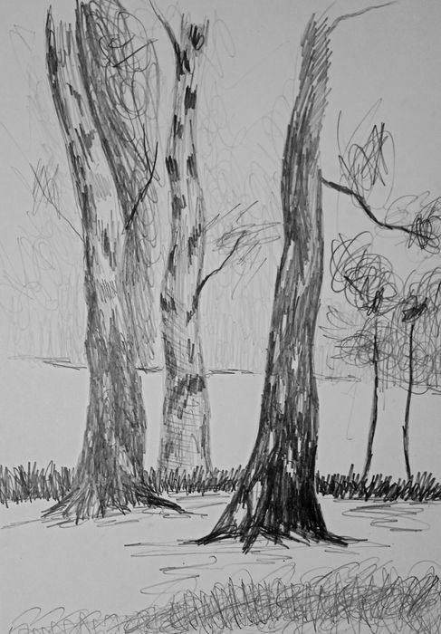 Ajoyib devoriy kartina