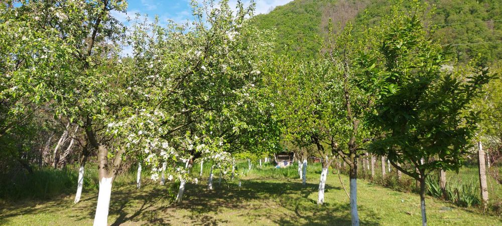 Teren  intrare Herculane ,E70.