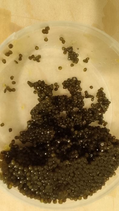 Икра чёрная остр.