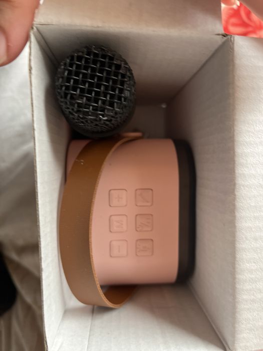 мини колонка с микрофоном