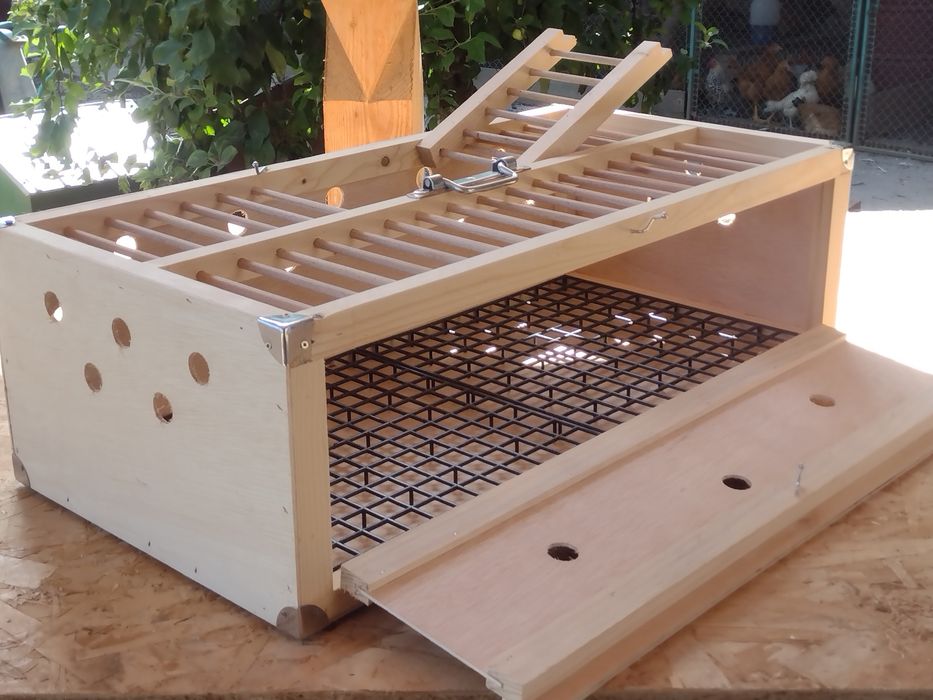 Boxe,hrănitori, lăzi pentru porumbei