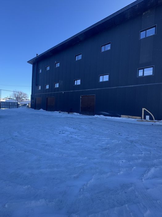 Сдам помещение в аренду 550 квм