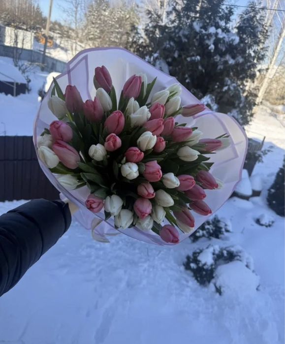 Свежие тюльпаны в Астане