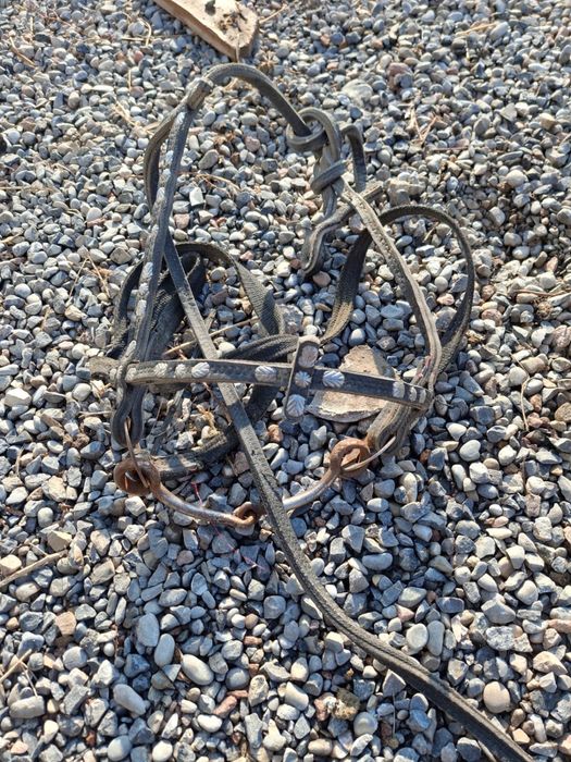 Ер тоқым. Жүген Сатылады