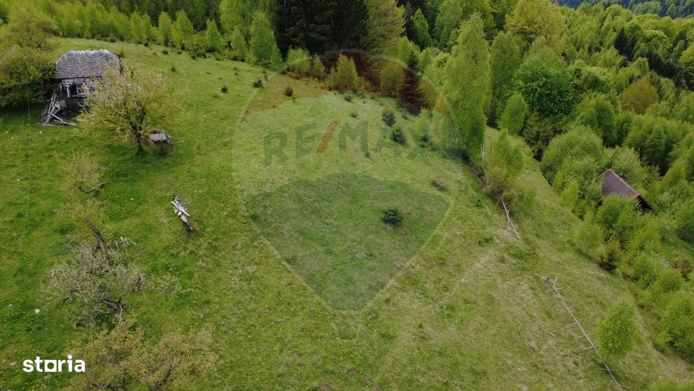 Teren 38,704mp Sirnea | 2.000 mp Intravilan | 36,704 Extravilan