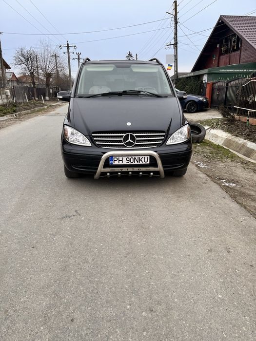 Mercedes Viano  proprietar