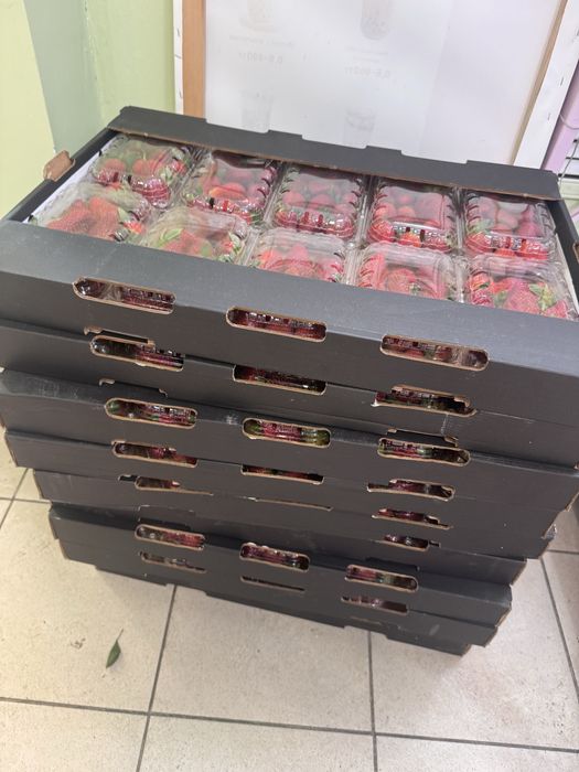 Клубника египетская